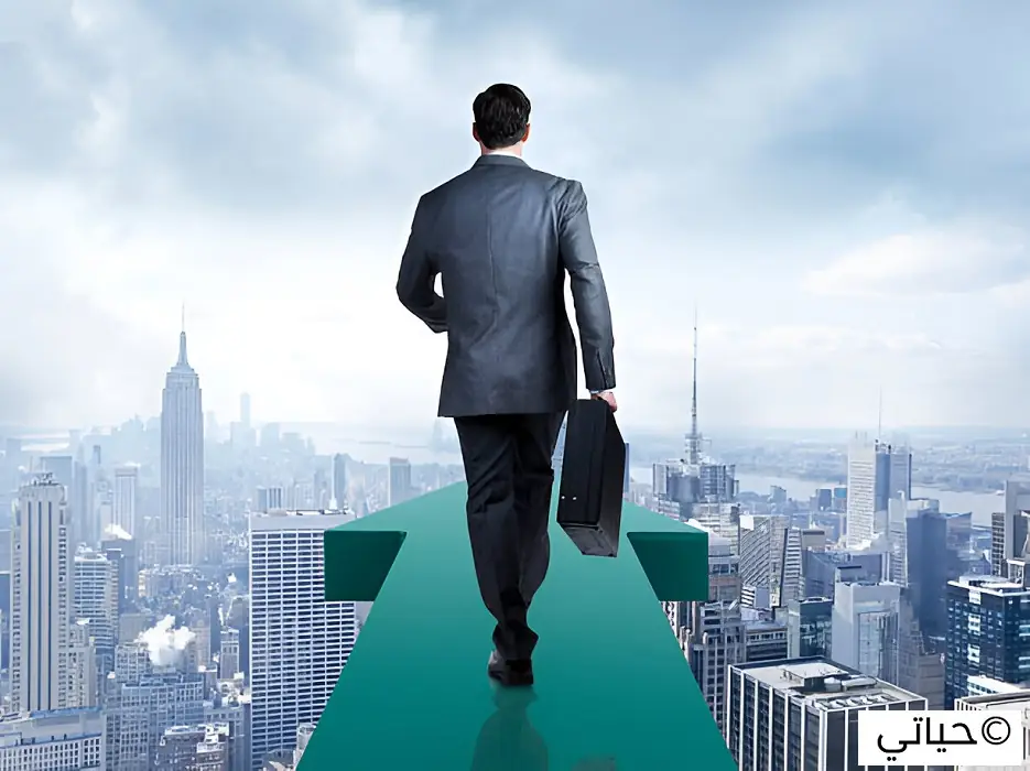 استراتيجيات البحث عن فرص العمل