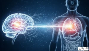 رسم توضيحي يظهر تأثير الامتنان الإيجابي على الدماغ والأعصاب وتعزيز الصحة الجسدية والنفسية